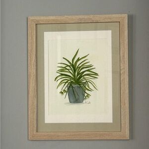 Framed original watercolor spider Plant painting